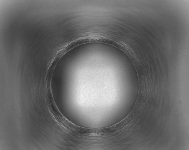 X0000055980496200508190733
