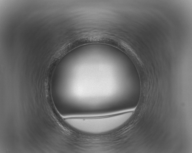 X0000055980497200508190733