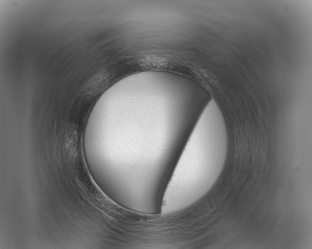 X0000055980498200508190733