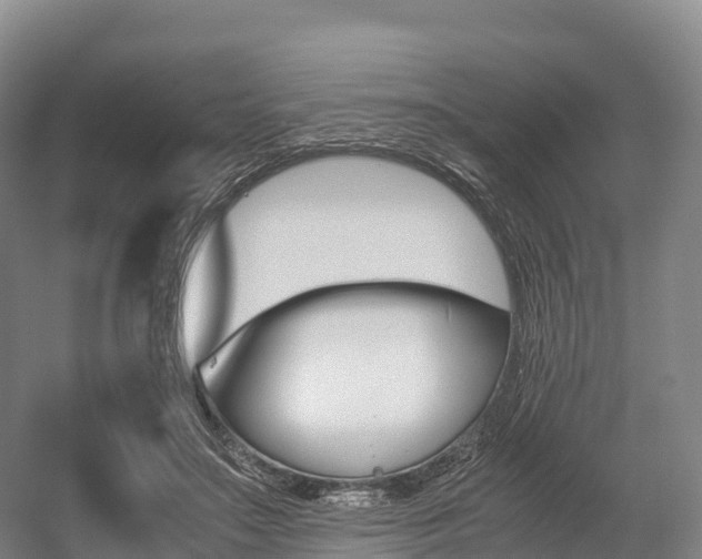 X0000055980499200508190733