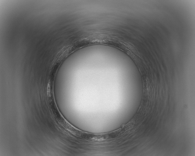 X0000055980502200508190733