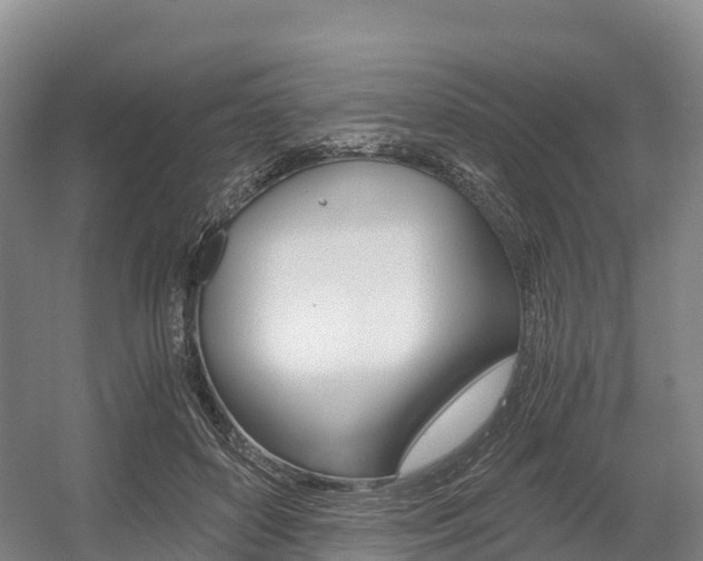 X0000055980504200508190733