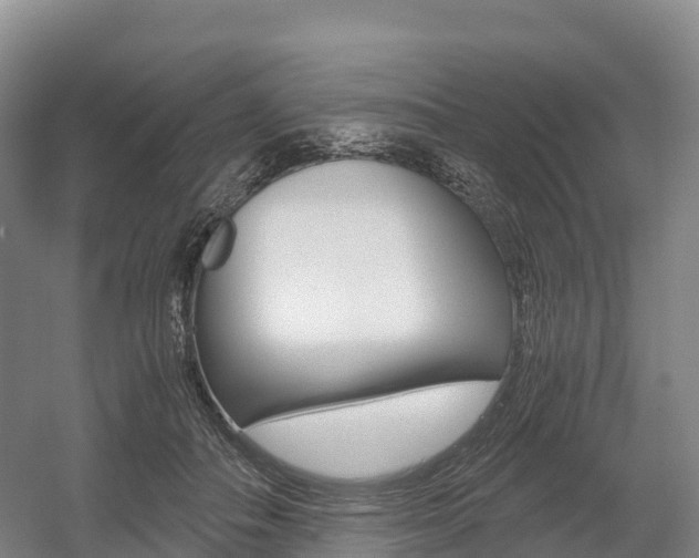 X0000055980506200508190733