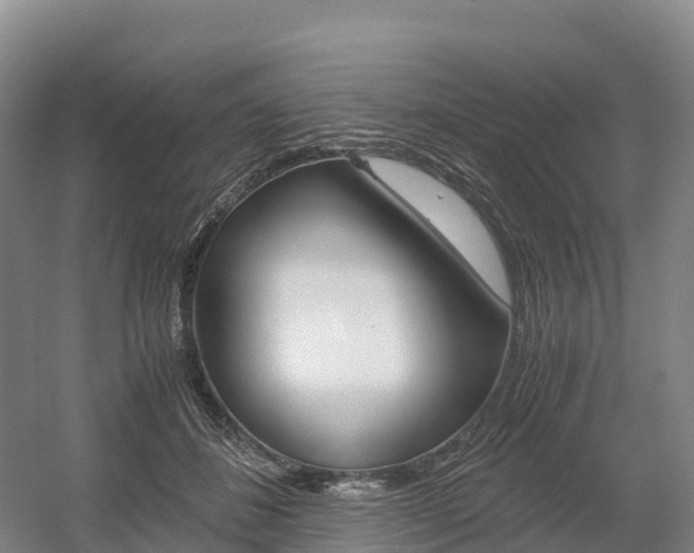 X0000055980508200508190733