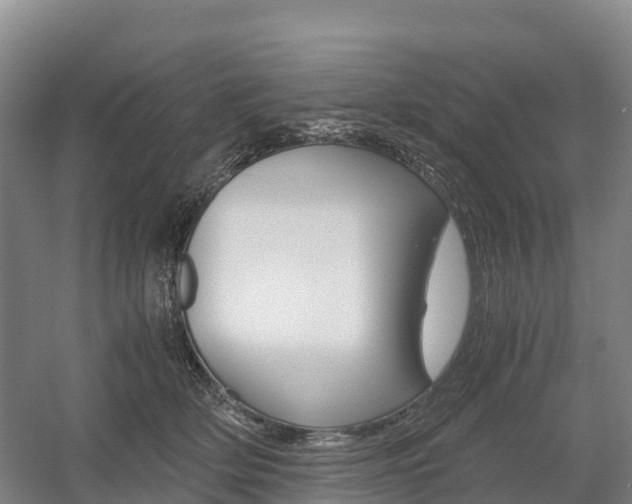 X0000055980514200508190733