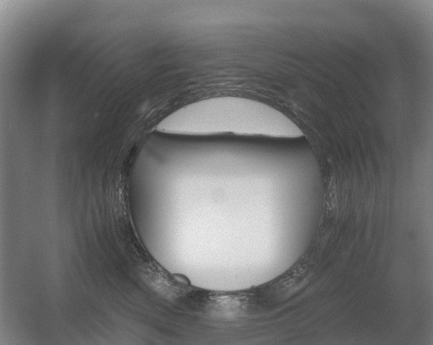X0000055980522200508190732