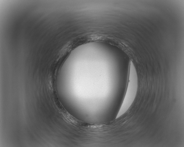 X0000055980524200508190732