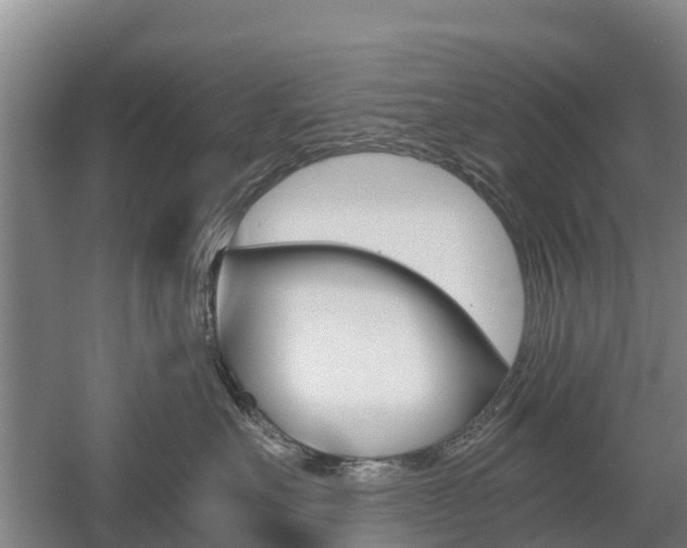X0000055980527200508190732