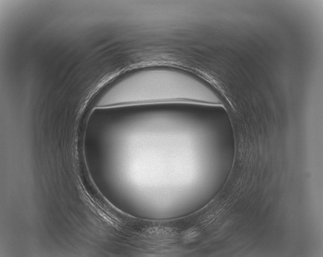 X0000055980535200508190732