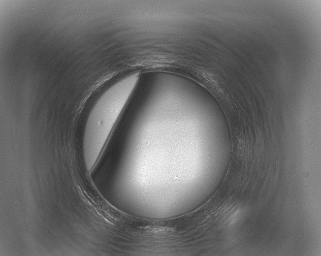 X0000055980539200508190732