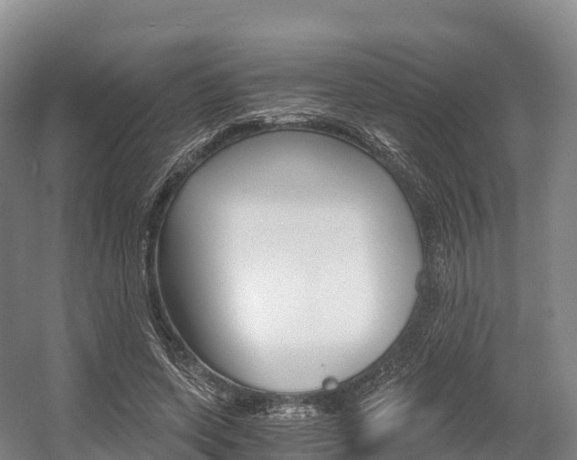X0000055980543200508190732