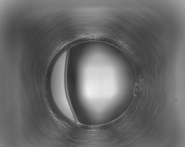 X0000055980544200508190732