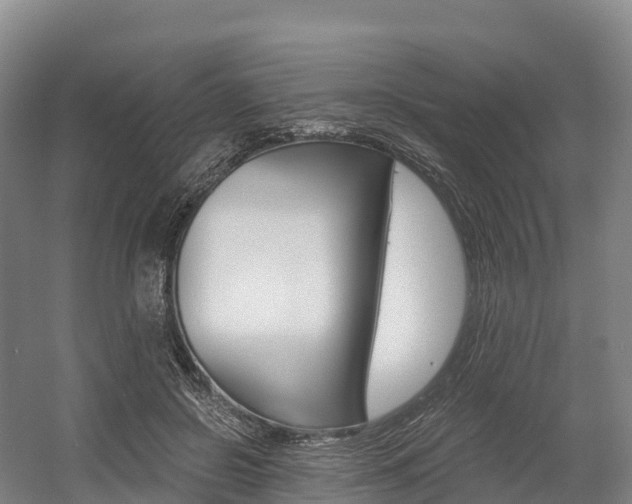 X0000055980550200508190732