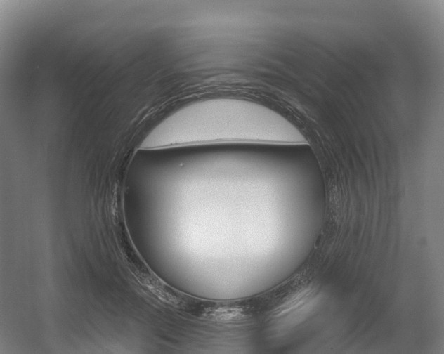 X0000055980554200508190732
