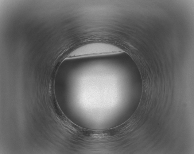 X0000055980556200508190732