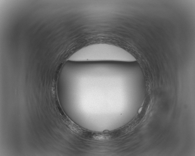 X0000055980561200508190732