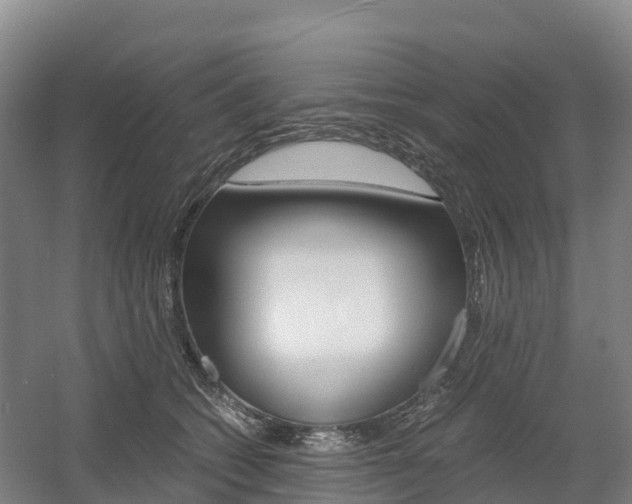X0000055980562200508190732