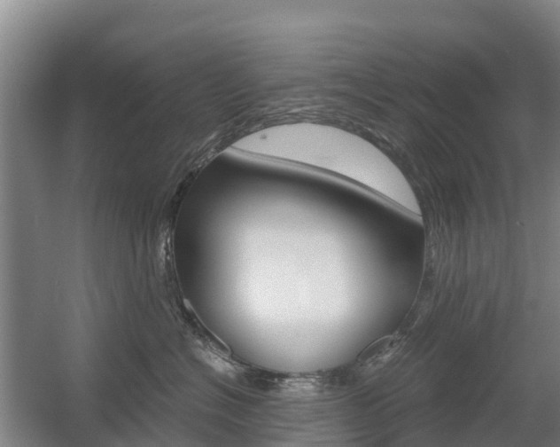 X0000055980574200508190732