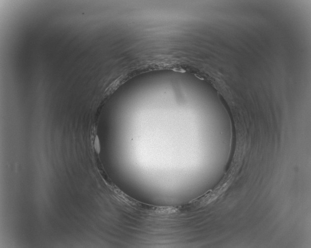 X0000055980576200508190732