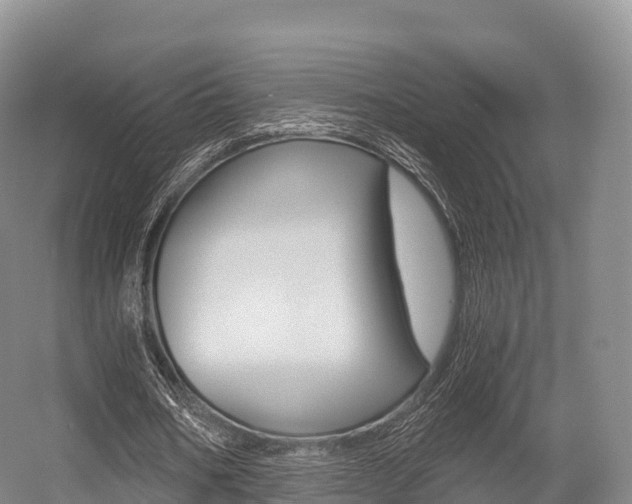 X0000055980578200508190732