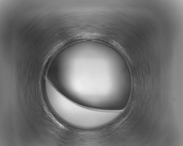 X0000055980581200508190731