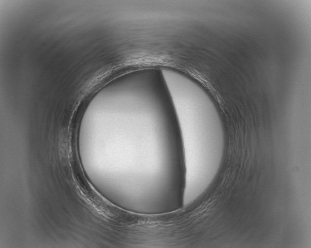 X0000055980582200508190731