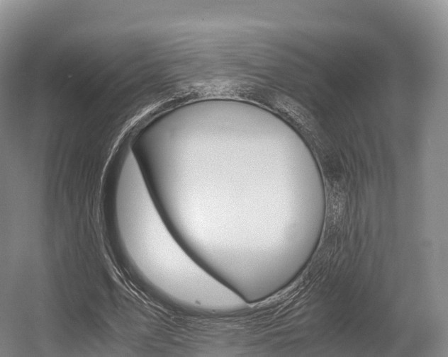 X0000055980583200508190731