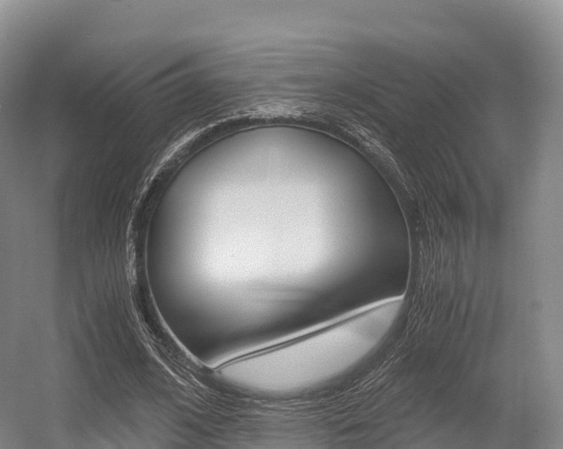 X0000055980584200508190731
