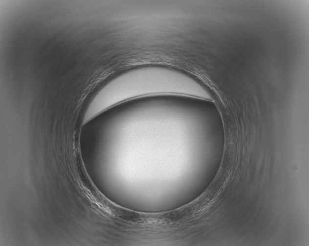 X0000055980585200508190731