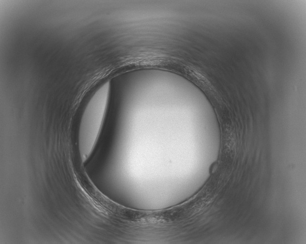 X0000055980586200508190731