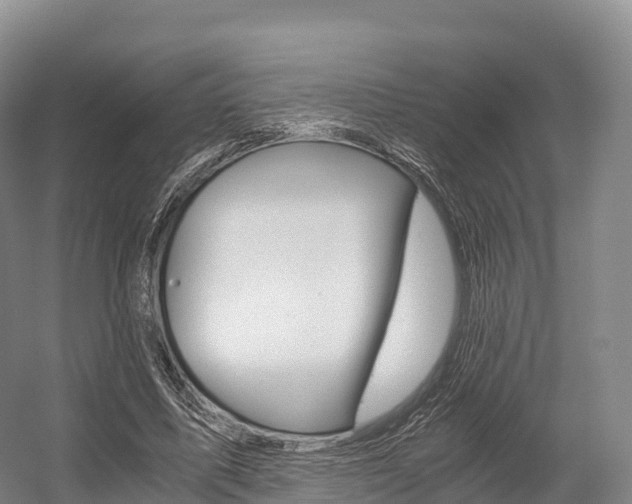 X0000055980587200508190731