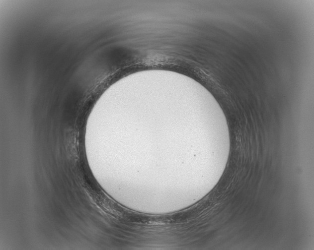 X0000055980592200508190731