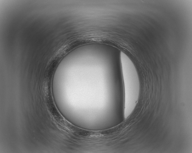 X0000055980595200508190731