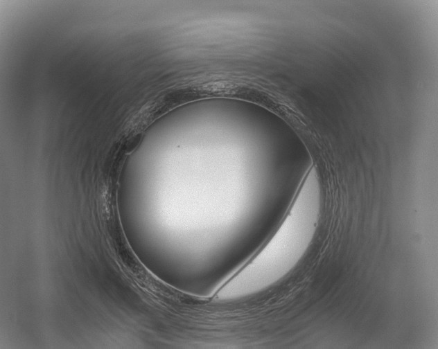 X0000055980597200508190731