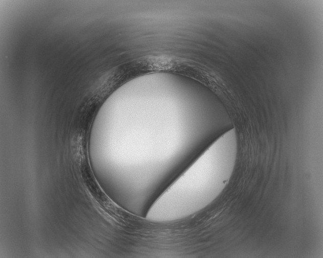 X0000055980598200508190731