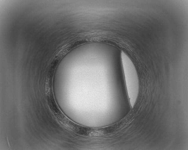 X0000055980599200508190731