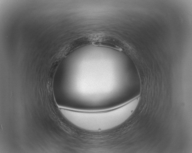X0000055980601200508190731