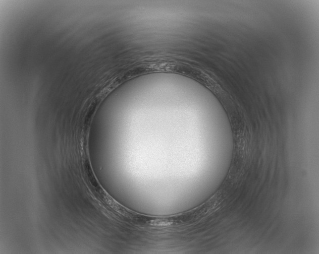 X0000055980602200508190731