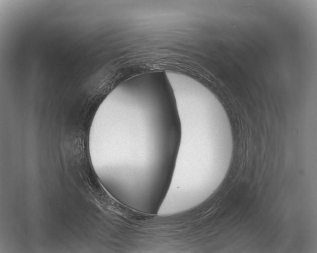 X0000055980603200508190731
