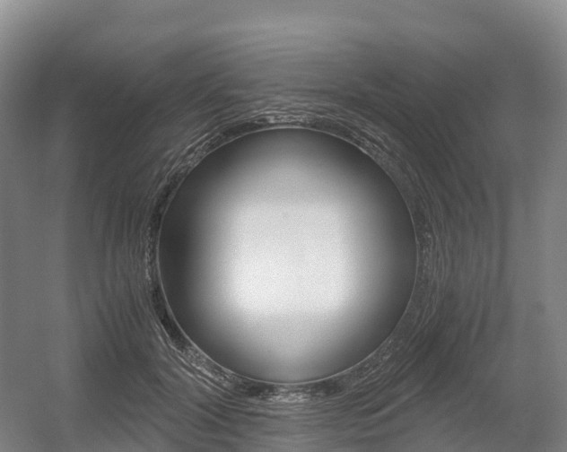 X0000055980604200508190731
