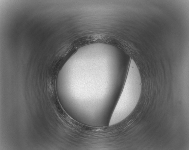 X0000055980607200508190731