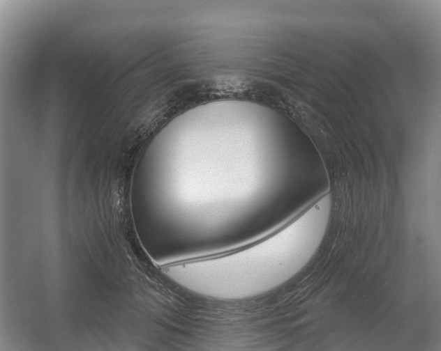 X0000055980608200508190731