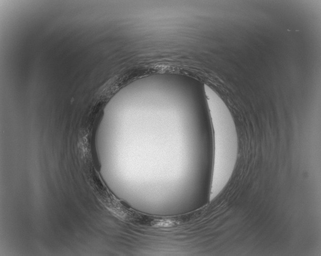 X0000055980611200508190731