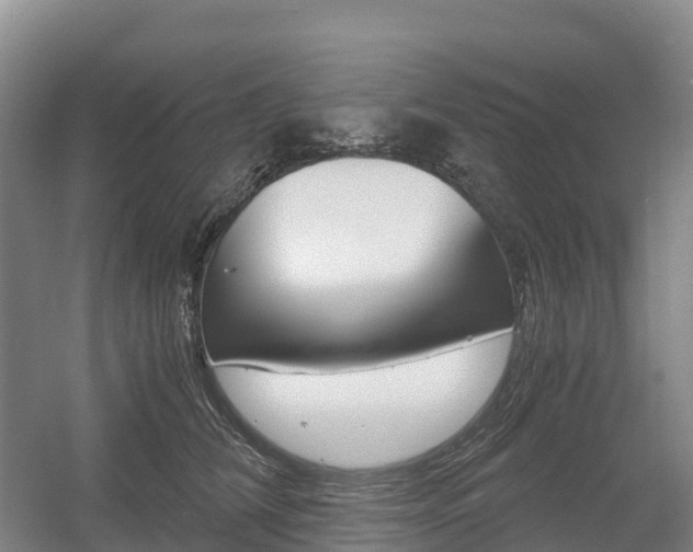 X0000055980612200508190731