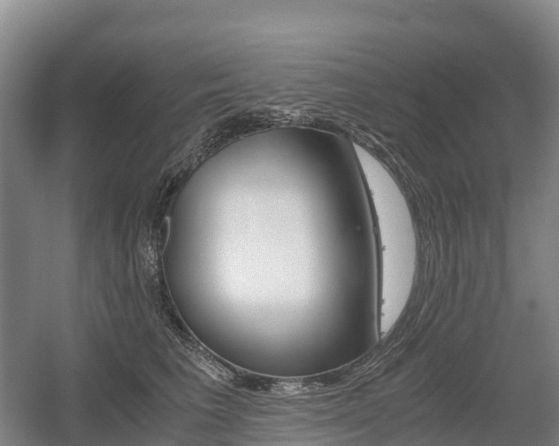 X0000055980613200508190731