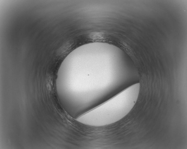 X0000055980618200508190731