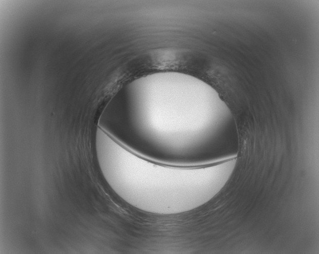 X0000055980620200508190731