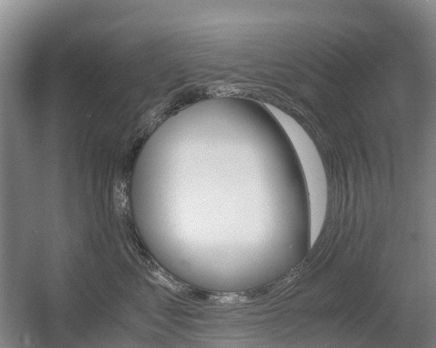 X0000055980621200508190731