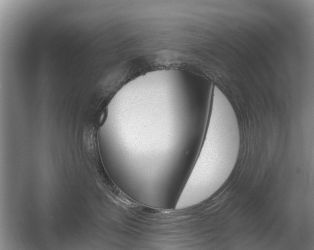 X0000055980623200508190731