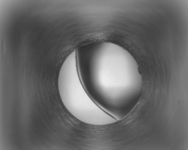 X0000055980624200508190731